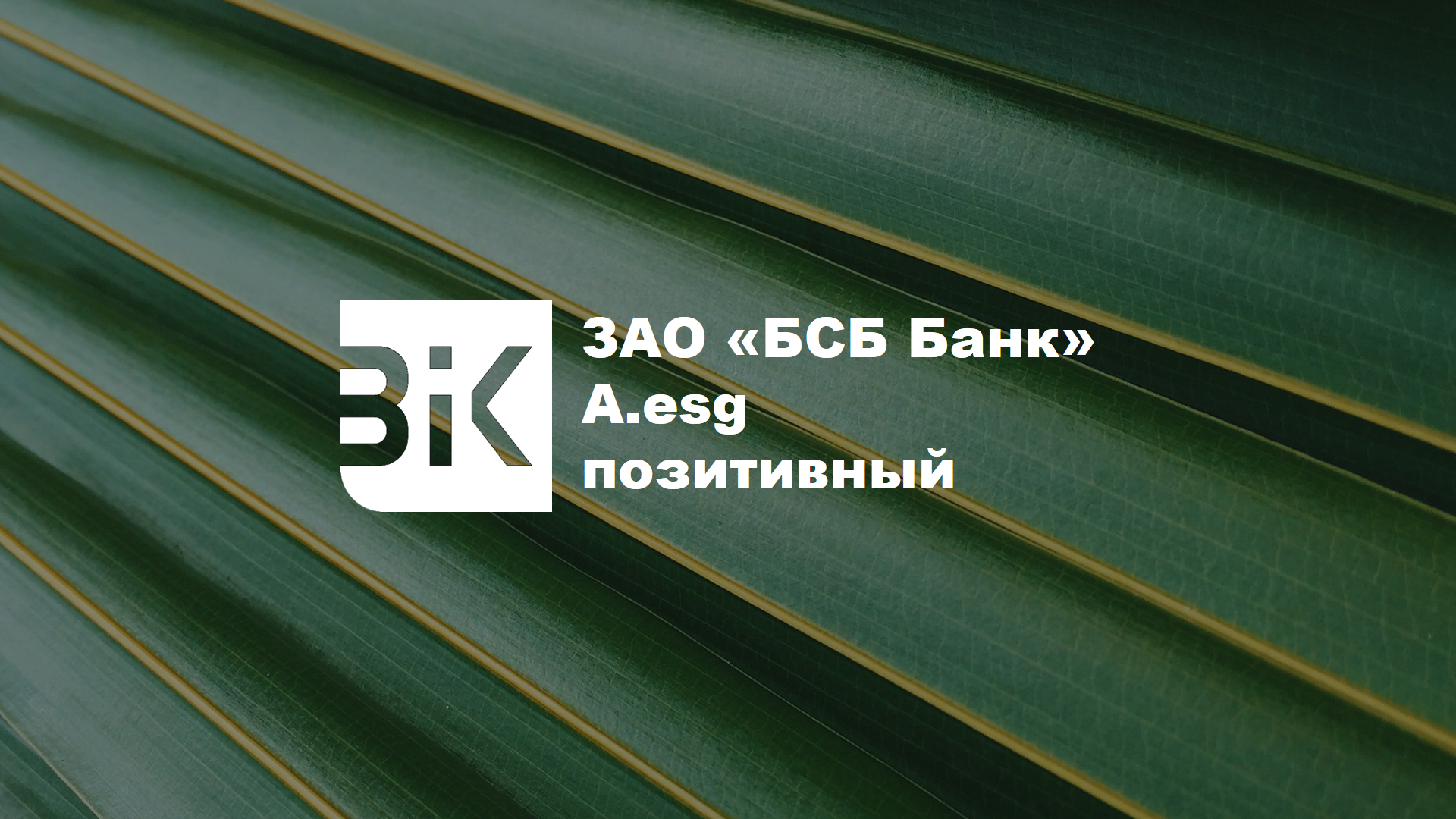 ЗАО «БСБ Банк» ESG-рейтинг на уровне A.esg (прогноз позитивный)